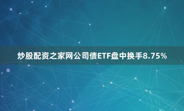 炒股配资之家网公司债ETF盘中换手8.75%